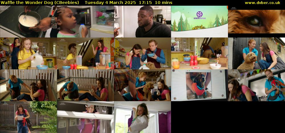 Waffle the Wonder Dog (CBeebies) Tuesday 4 March 2025 17:15 - 17:25