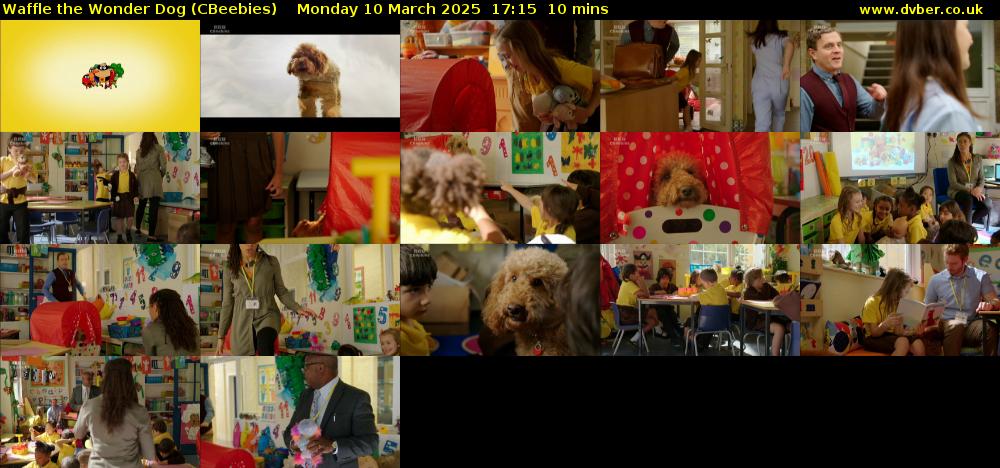 Waffle the Wonder Dog (CBeebies) Monday 10 March 2025 17:15 - 17:25