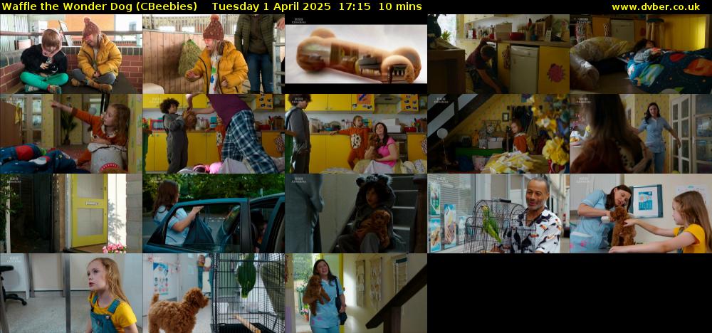 Waffle the Wonder Dog (CBeebies) Tuesday 1 April 2025 17:15 - 17:25