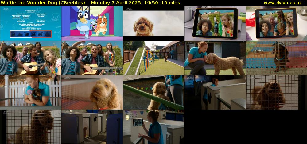Waffle the Wonder Dog (CBeebies) Monday 7 April 2025 14:50 - 15:00