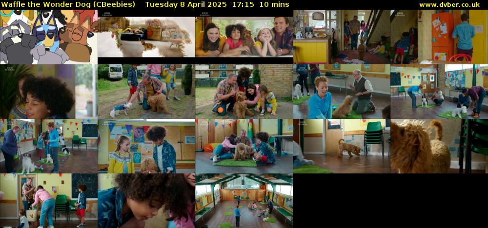 Waffle the Wonder Dog (CBeebies) Tuesday 8 April 2025 17:15 - 17:25