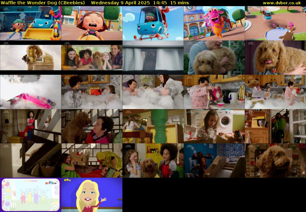 Waffle the Wonder Dog (CBeebies) Wednesday 9 April 2025 14:45 - 15:00