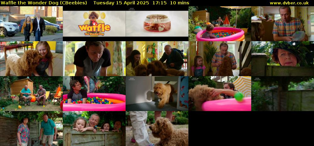 Waffle the Wonder Dog (CBeebies) Tuesday 15 April 2025 17:15 - 17:25