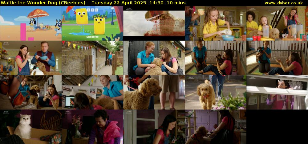 Waffle the Wonder Dog (CBeebies) Tuesday 22 April 2025 14:50 - 15:00
