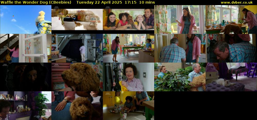 Waffle the Wonder Dog (CBeebies) Tuesday 22 April 2025 17:15 - 17:25