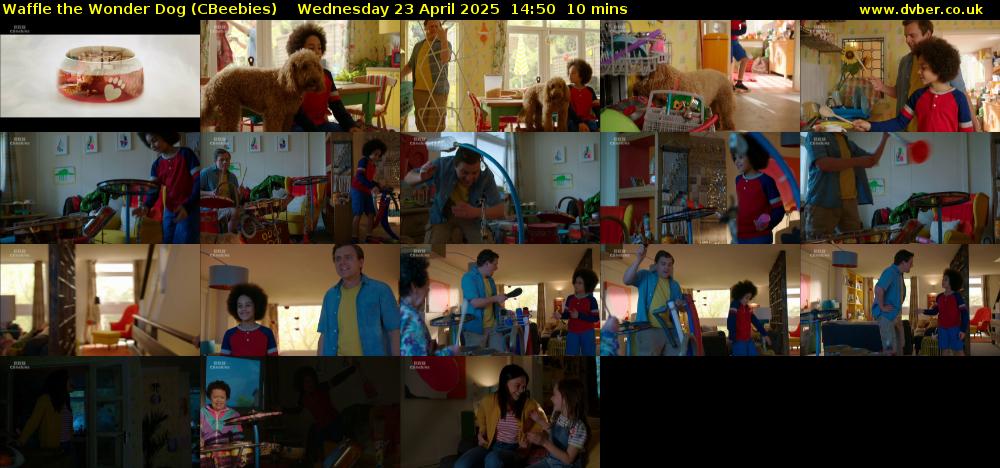 Waffle the Wonder Dog (CBeebies) Wednesday 23 April 2025 14:50 - 15:00