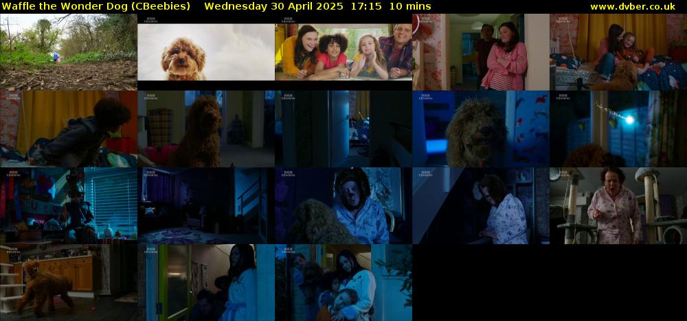 Waffle the Wonder Dog (CBeebies) Wednesday 30 April 2025 17:15 - 17:25