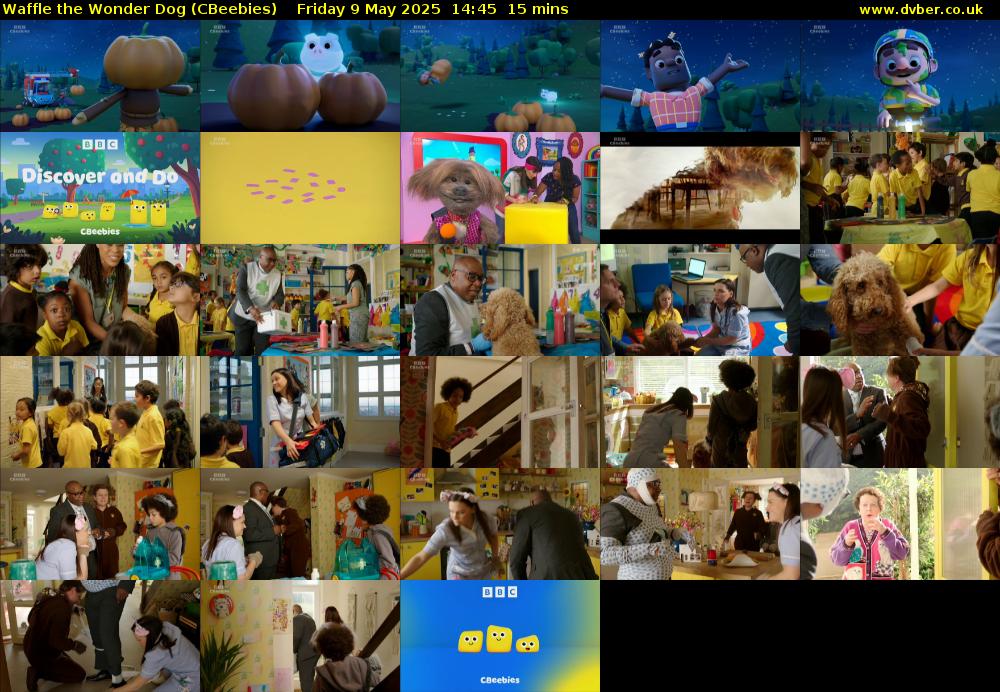 Waffle the Wonder Dog (CBeebies) Friday 9 May 2025 14:45 - 15:00