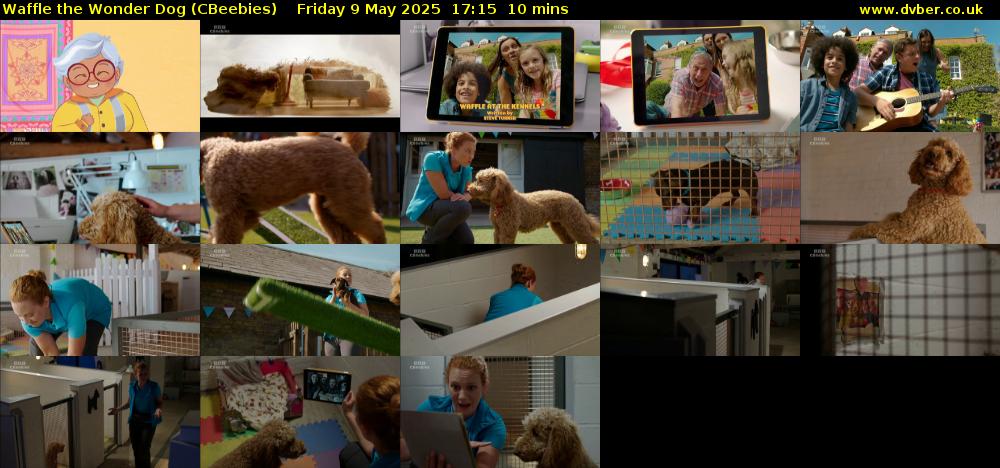 Waffle the Wonder Dog (CBeebies) Friday 9 May 2025 17:15 - 17:25