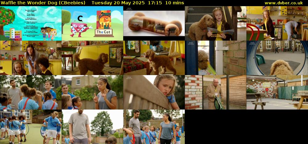 Waffle the Wonder Dog (CBeebies) Tuesday 20 May 2025 17:15 - 17:25
