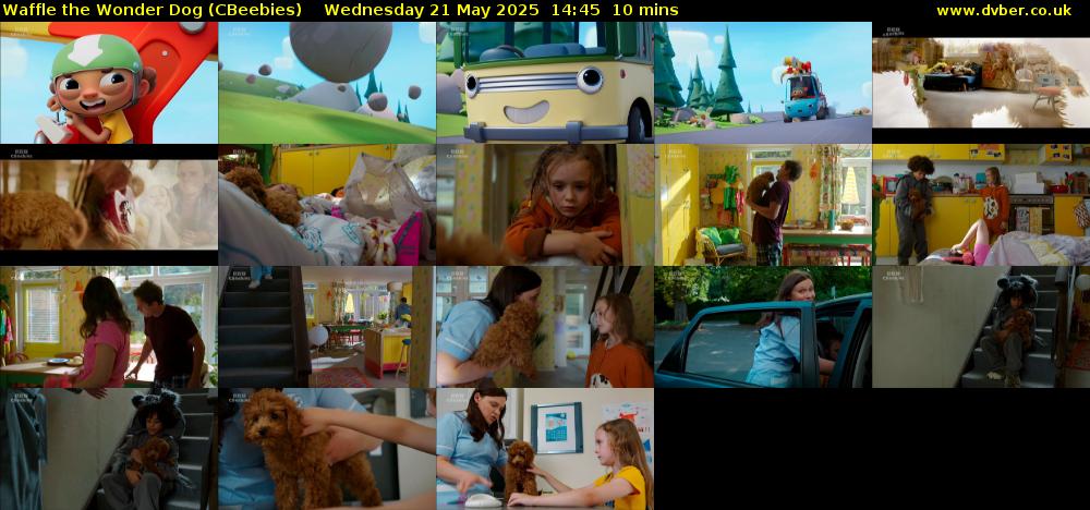 Waffle the Wonder Dog (CBeebies) Wednesday 21 May 2025 14:45 - 14:55