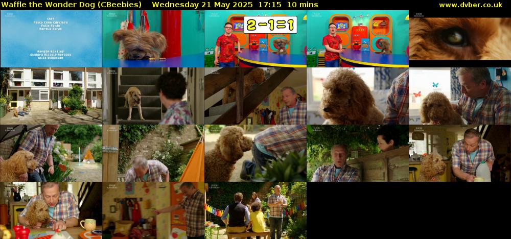 Waffle the Wonder Dog (CBeebies) Wednesday 21 May 2025 17:15 - 17:25