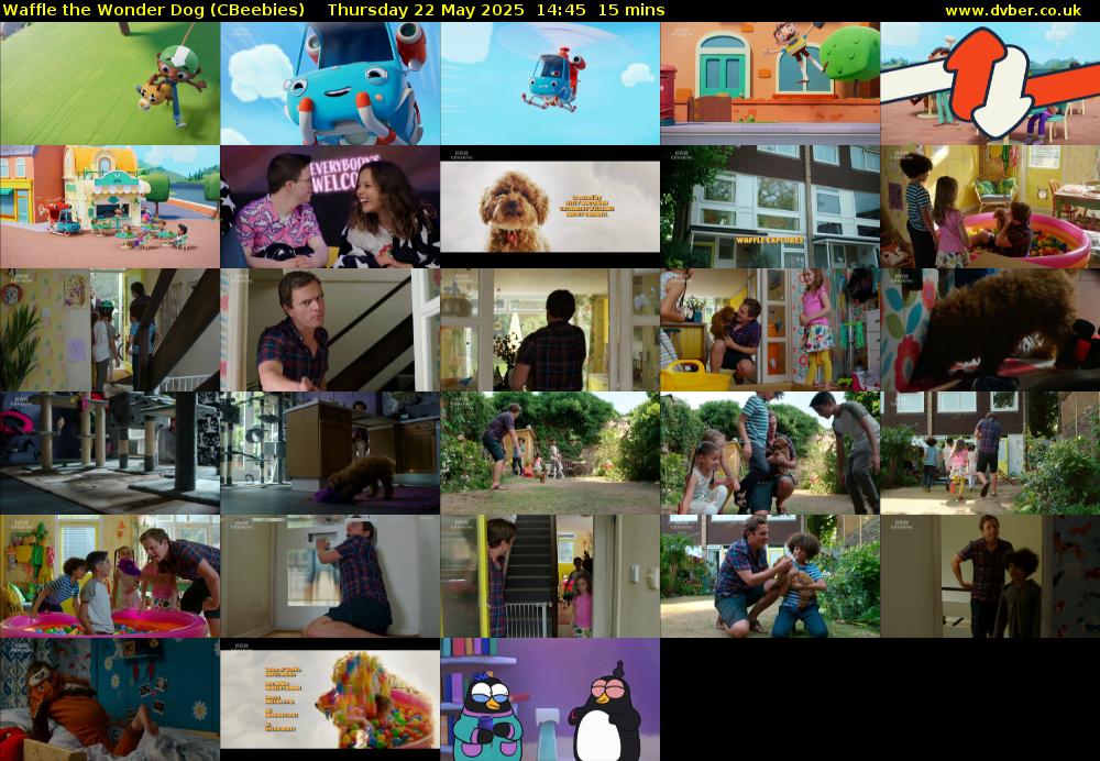 Waffle the Wonder Dog (CBeebies) Thursday 22 May 2025 14:45 - 15:00