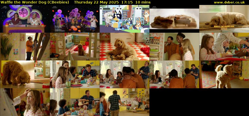Waffle the Wonder Dog (CBeebies) Thursday 22 May 2025 17:15 - 17:25