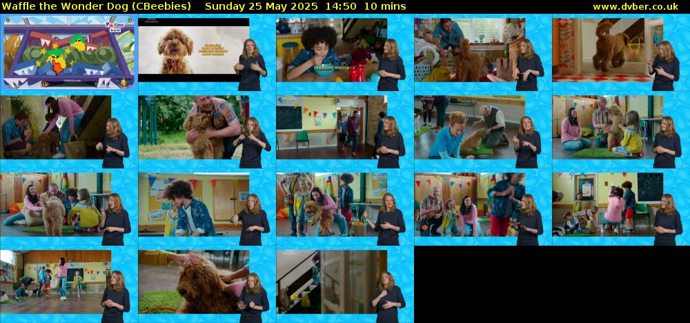 Waffle the Wonder Dog (CBeebies) Sunday 25 May 2025 14:50 - 15:00