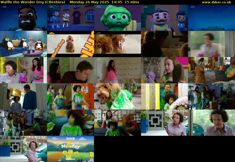 Waffle the Wonder Dog (CBeebies) Monday 26 May 2025 14:45 - 15:00