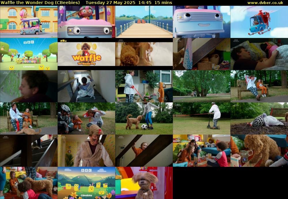 Waffle the Wonder Dog (CBeebies) Tuesday 27 May 2025 14:45 - 15:00