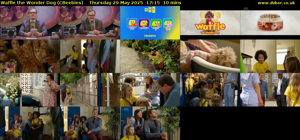 Waffle the Wonder Dog (CBeebies) Thursday 29 May 2025 17:15 - 17:25