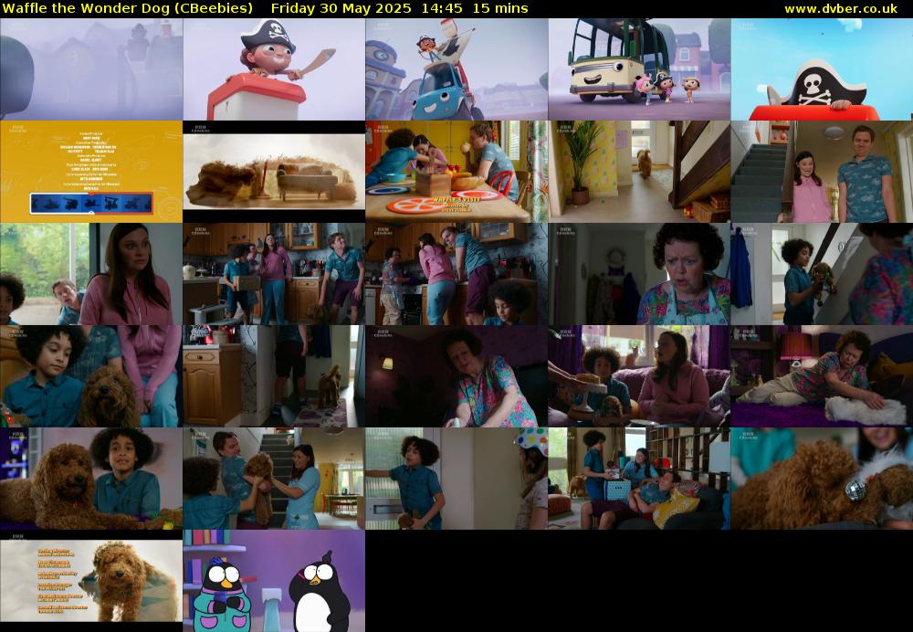 Waffle the Wonder Dog (CBeebies) Friday 30 May 2025 14:45 - 15:00