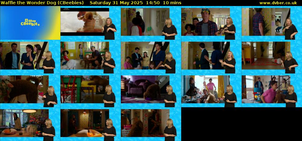 Waffle the Wonder Dog (CBeebies) Saturday 31 May 2025 14:50 - 15:00