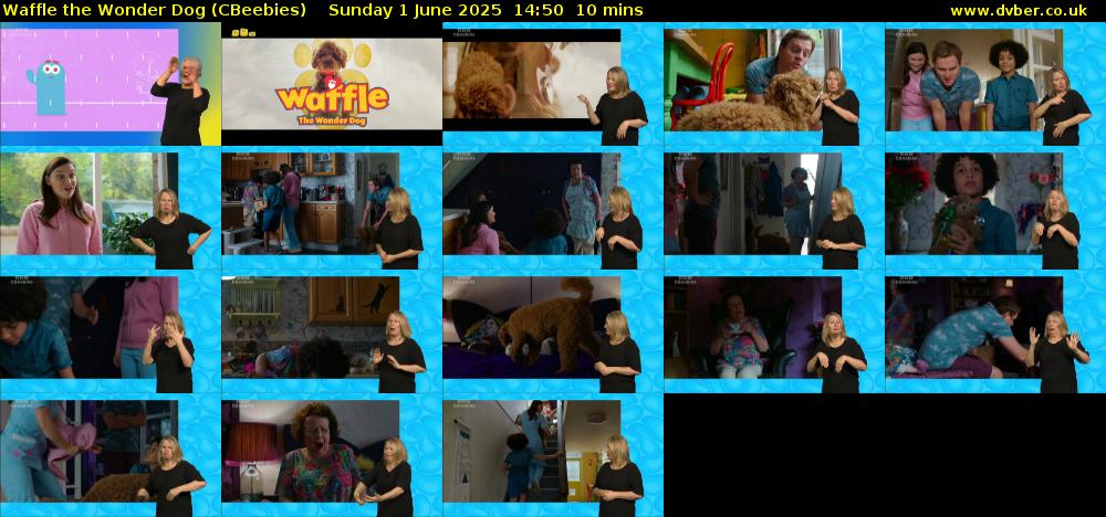 Waffle the Wonder Dog (CBeebies) Sunday 1 June 2025 14:50 - 15:00