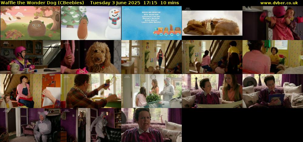 Waffle the Wonder Dog (CBeebies) Tuesday 3 June 2025 17:15 - 17:25
