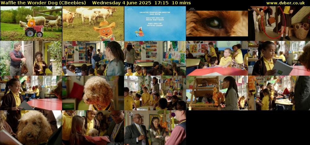 Waffle the Wonder Dog (CBeebies) Wednesday 4 June 2025 17:15 - 17:25