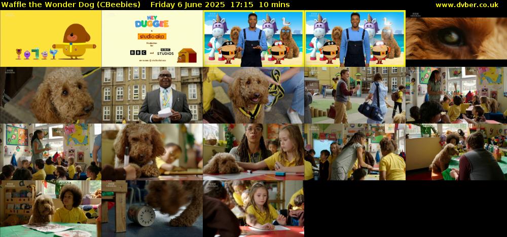 Waffle the Wonder Dog (CBeebies) Friday 6 June 2025 17:15 - 17:25