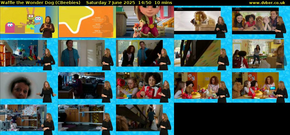 Waffle the Wonder Dog (CBeebies) Saturday 7 June 2025 14:50 - 15:00