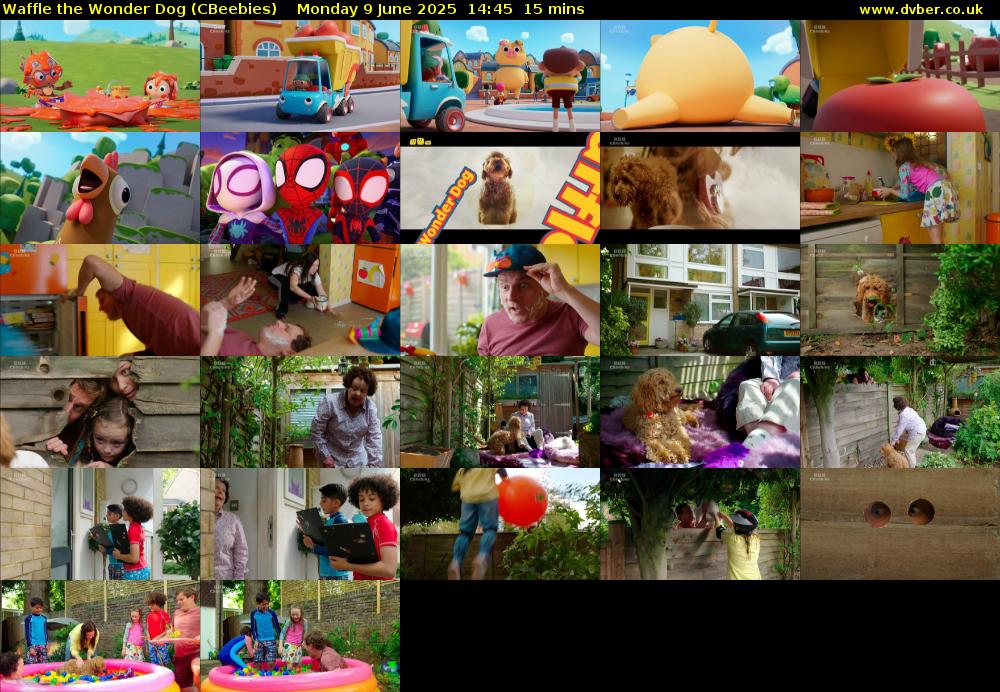 Waffle the Wonder Dog (CBeebies) Monday 9 June 2025 14:45 - 15:00