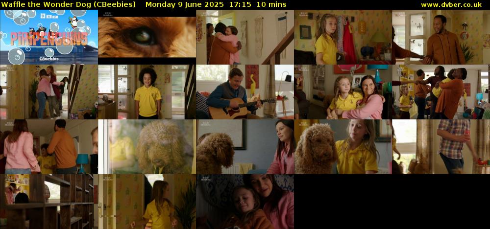 Waffle the Wonder Dog (CBeebies) Monday 9 June 2025 17:15 - 17:25