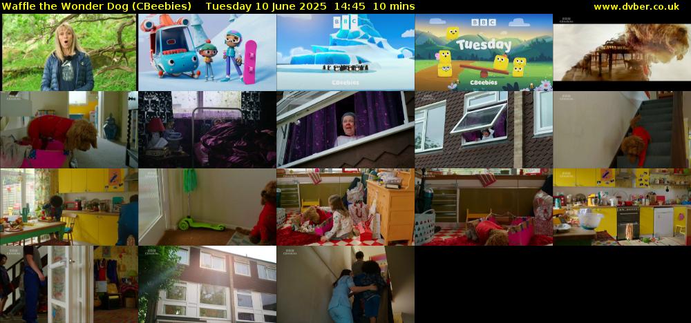 Waffle the Wonder Dog (CBeebies) Tuesday 10 June 2025 14:45 - 14:55