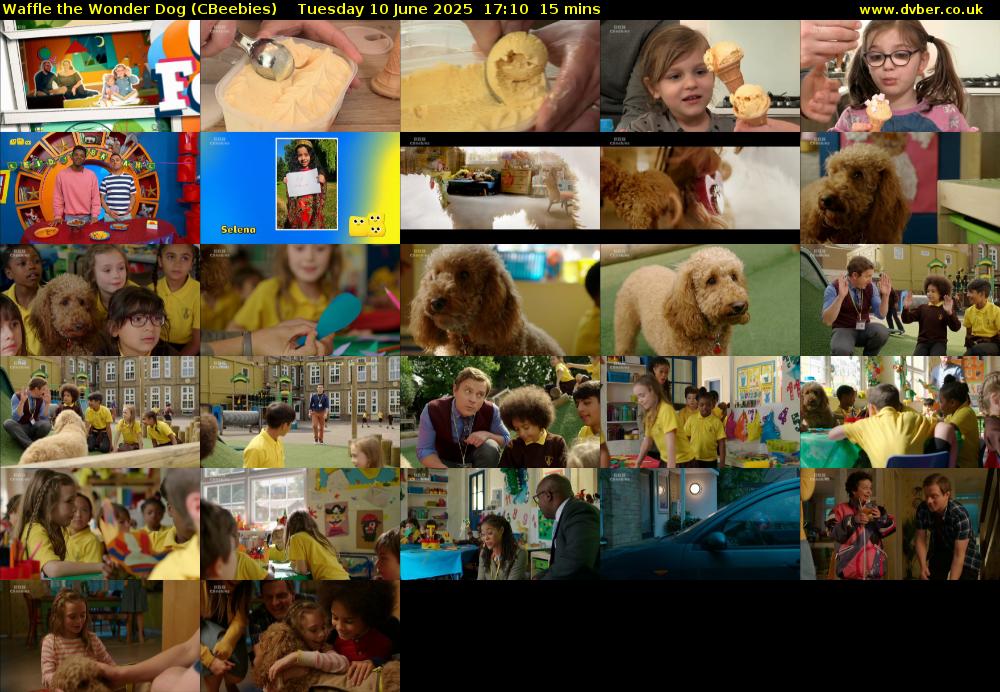 Waffle the Wonder Dog (CBeebies) Tuesday 10 June 2025 17:10 - 17:25