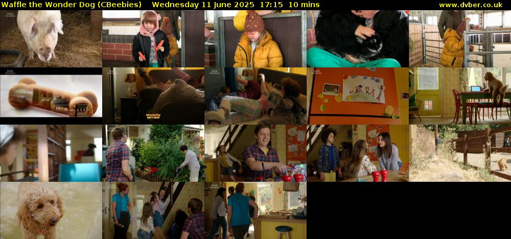 Waffle the Wonder Dog (CBeebies) Wednesday 11 June 2025 17:15 - 17:25