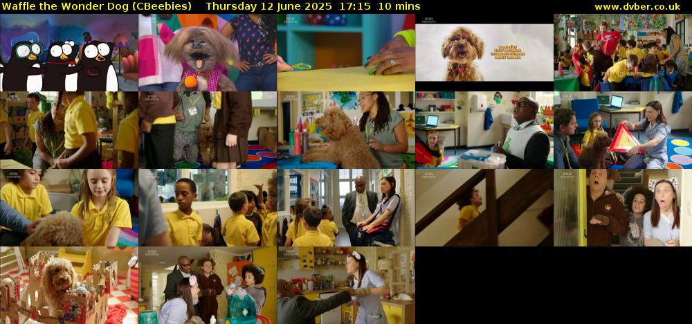 Waffle the Wonder Dog (CBeebies) Thursday 12 June 2025 17:15 - 17:25