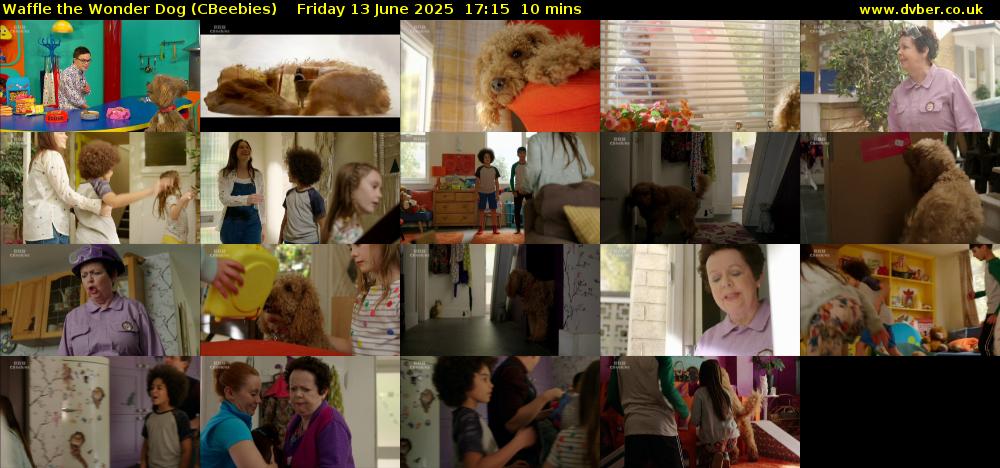 Waffle the Wonder Dog (CBeebies) Friday 13 June 2025 17:15 - 17:25