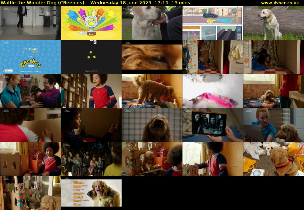 Waffle the Wonder Dog (CBeebies) Wednesday 18 June 2025 17:10 - 17:25