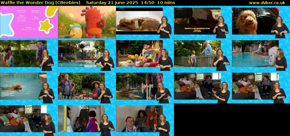 Waffle the Wonder Dog (CBeebies) Saturday 21 June 2025 14:50 - 15:00