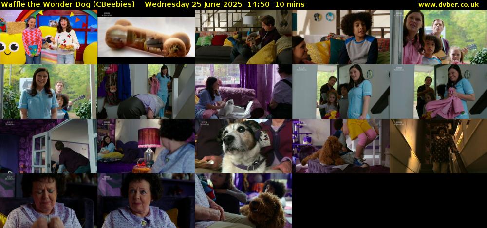 Waffle the Wonder Dog (CBeebies) Wednesday 25 June 2025 14:50 - 15:00