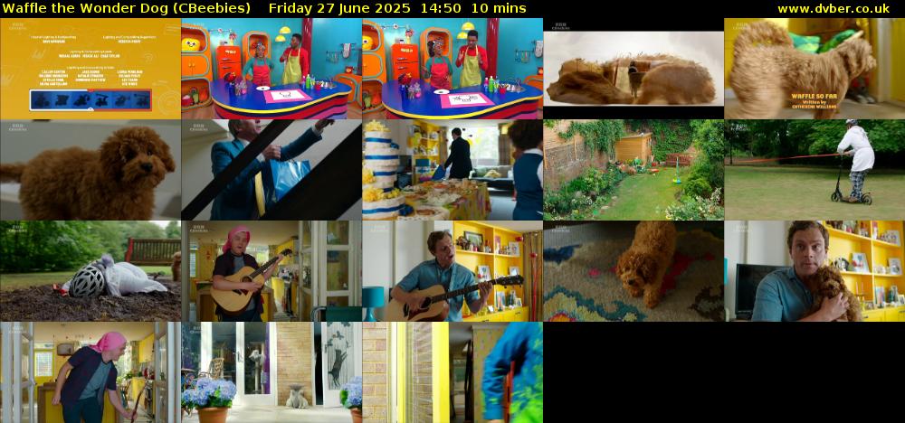 Waffle the Wonder Dog (CBeebies) Friday 27 June 2025 14:50 - 15:00