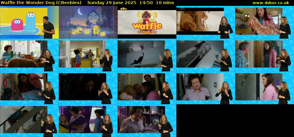 Waffle the Wonder Dog (CBeebies) Sunday 29 June 2025 14:50 - 15:00