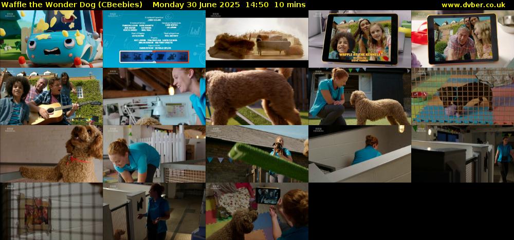 Waffle the Wonder Dog (CBeebies) Monday 30 June 2025 14:50 - 15:00