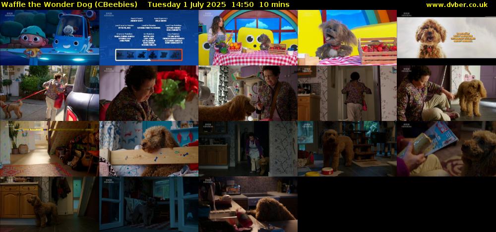 Waffle the Wonder Dog (CBeebies) Tuesday 1 July 2025 14:50 - 15:00