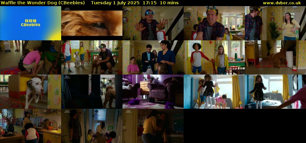 Waffle the Wonder Dog (CBeebies) Tuesday 1 July 2025 17:15 - 17:25