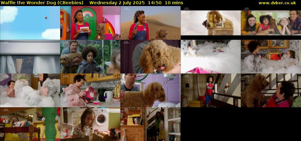 Waffle the Wonder Dog (CBeebies) Wednesday 2 July 2025 14:50 - 15:00