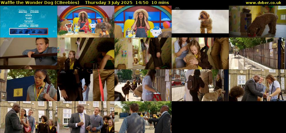 Waffle the Wonder Dog (CBeebies) Thursday 3 July 2025 14:50 - 15:00