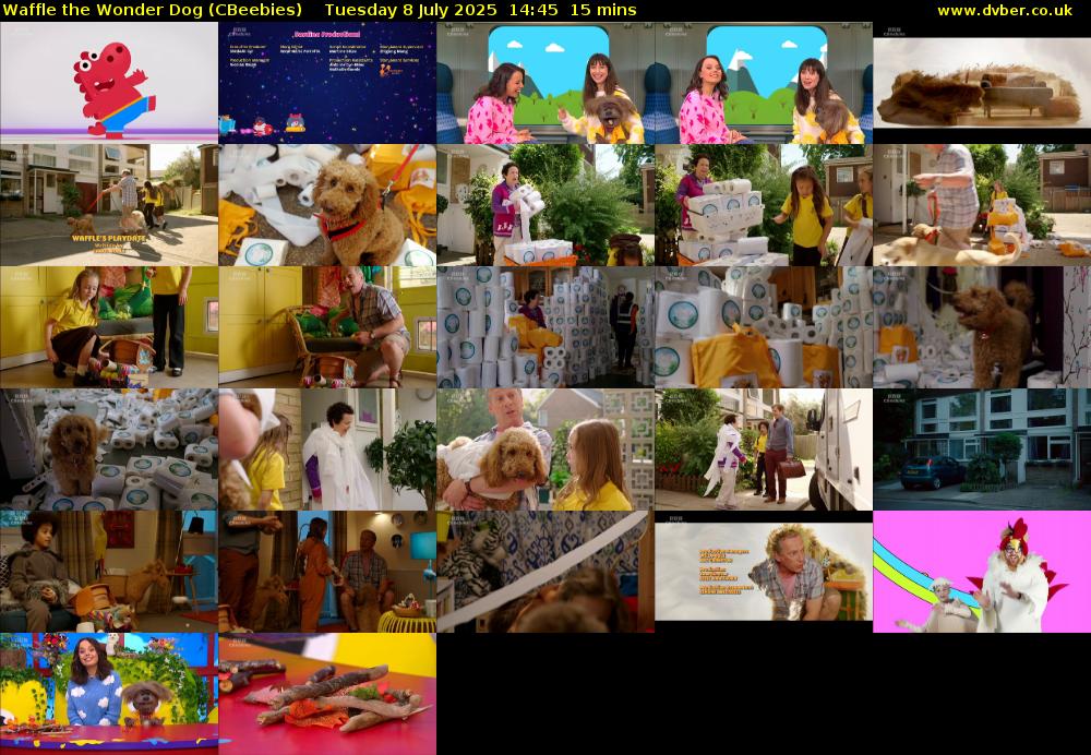 Waffle the Wonder Dog (CBeebies) Tuesday 8 July 2025 14:45 - 15:00