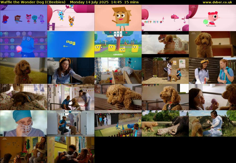 Waffle the Wonder Dog (CBeebies) Monday 14 July 2025 14:45 - 15:00