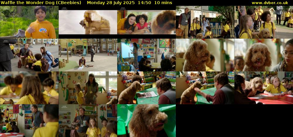 Waffle the Wonder Dog (CBeebies) Monday 28 July 2025 14:50 - 15:00