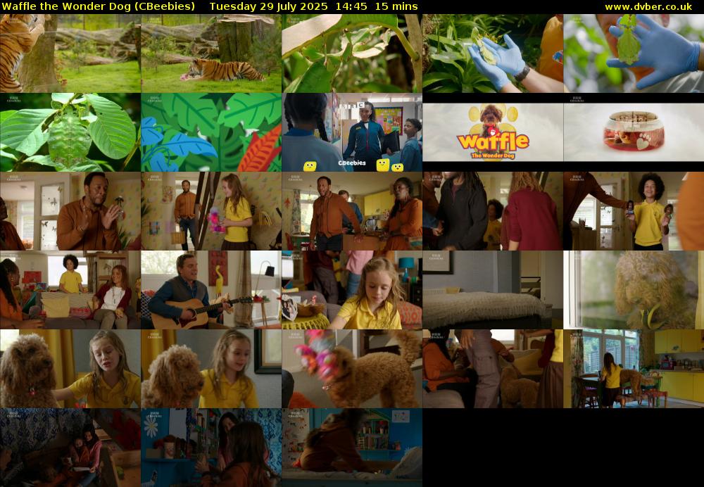 Waffle the Wonder Dog (CBeebies) Tuesday 29 July 2025 14:45 - 15:00